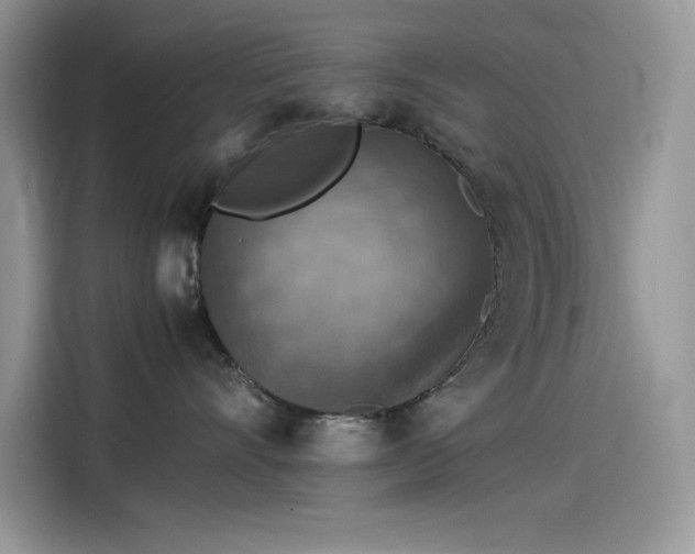 X0000115510528200911131343