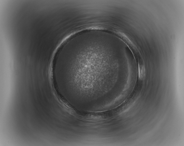 X0000115510531200911131343