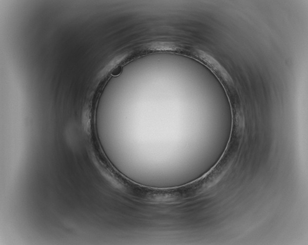 X0000115510533200911131343