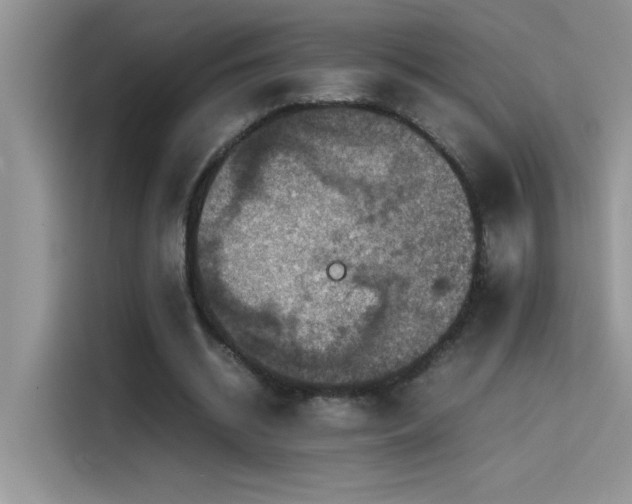 X0000115510534200911131343