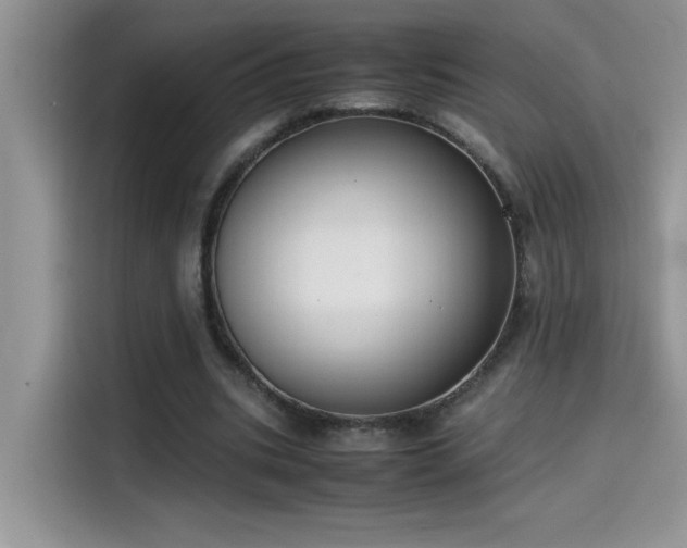 X0000115510535200911131343