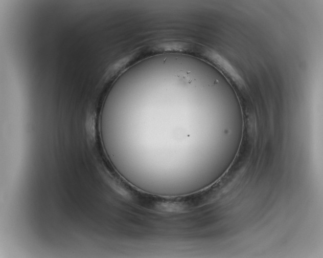 X0000115510537200911131343