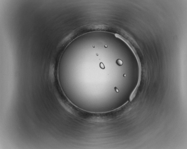 X0000115510538200911131343