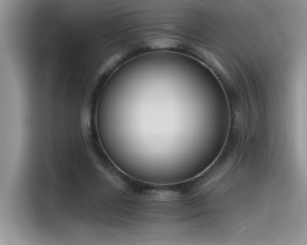 X0000115510539200911131343