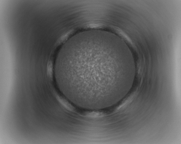 X0000115510542200911131343