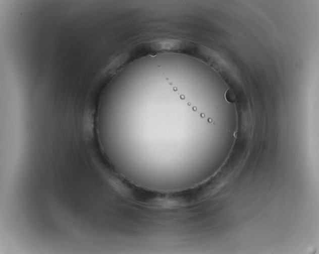 X0000115510545200911131343