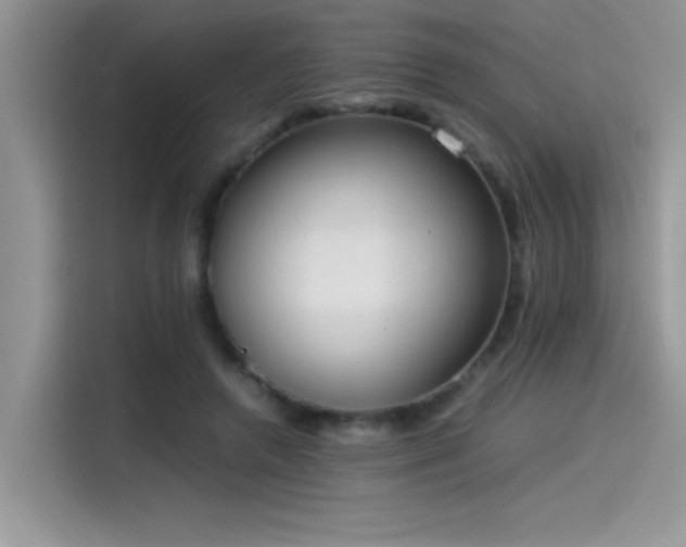 X0000115510546200911131343