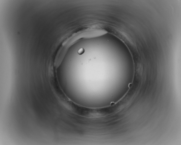 X0000115510547200911131343