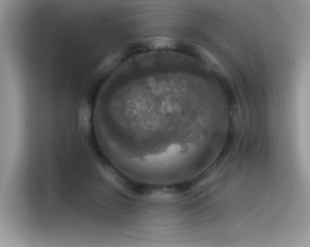 X0000115510550200911131343