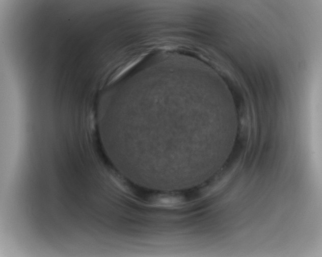 X0000115510555200911131343