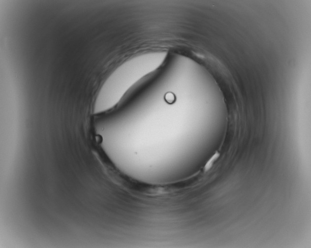 X0000115510558200911131343