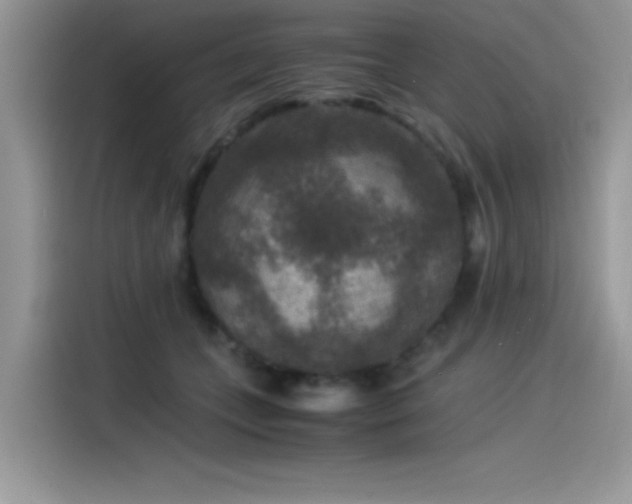 X0000115510559200911131343