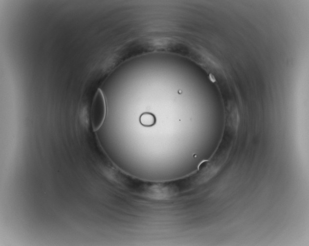 X0000115510562200911131343