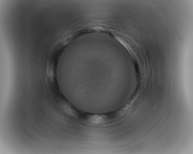 X0000115510566200911131343