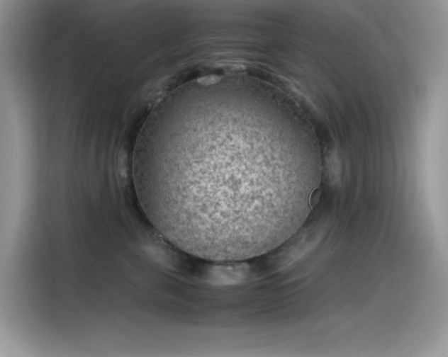 X0000115510571200911131343