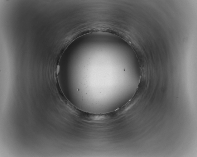 X0000115510575200911131343