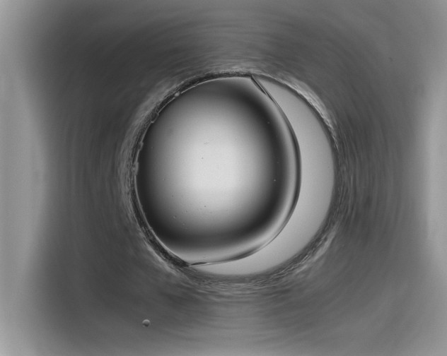 X0000115510577200911131343