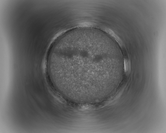 X0000115510579200911131343