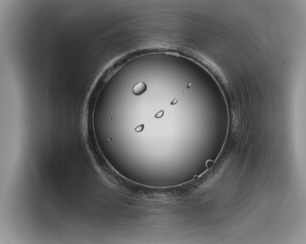 X0000115510580200911131343