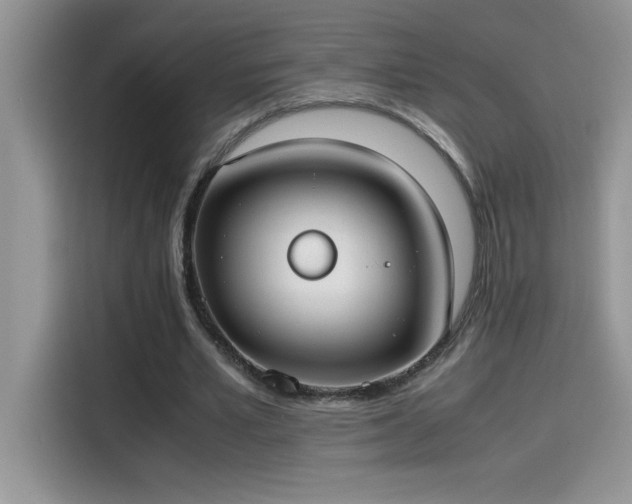 X0000115510581200911131343