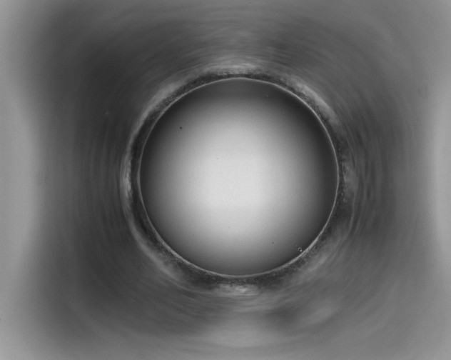 X0000115510582200911131343