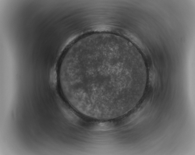 X0000115510584200911131343