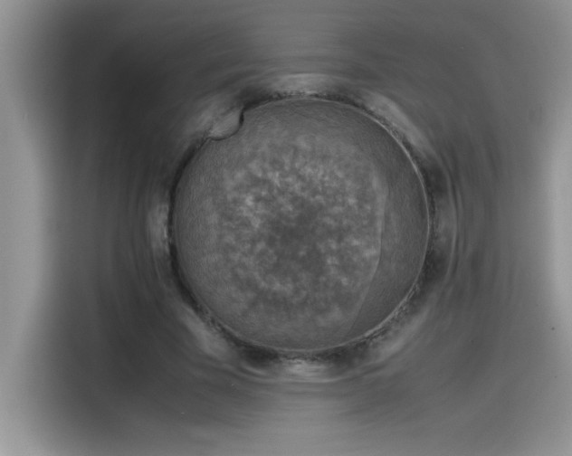 X0000115510585200911131343