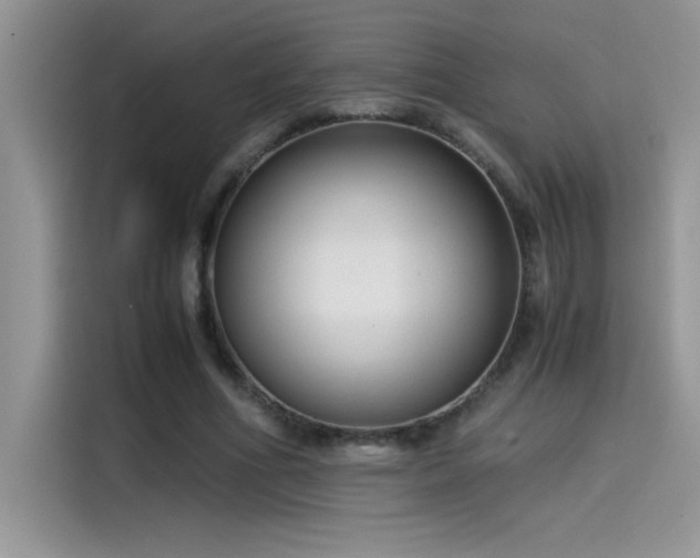 X0000115510586200911131342