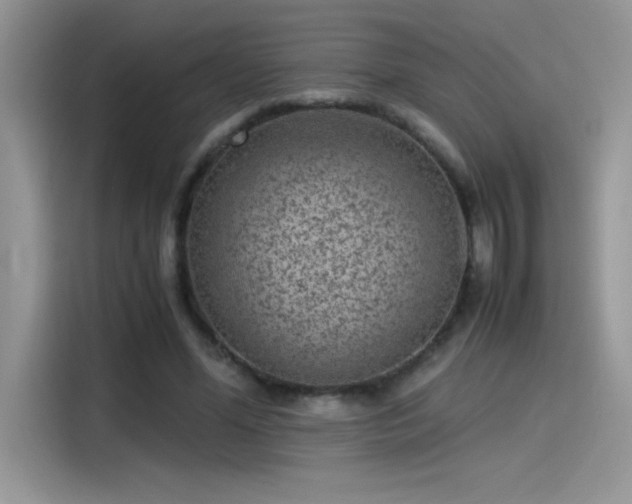 X0000115510588200911131342