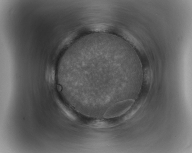 X0000115510589200911131342