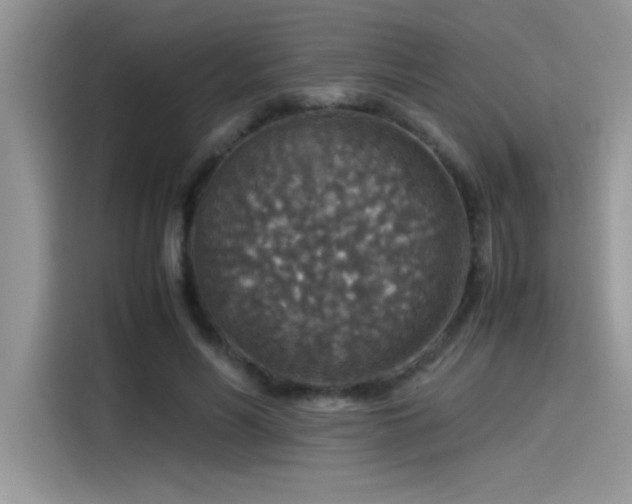 X0000115510590200911131342