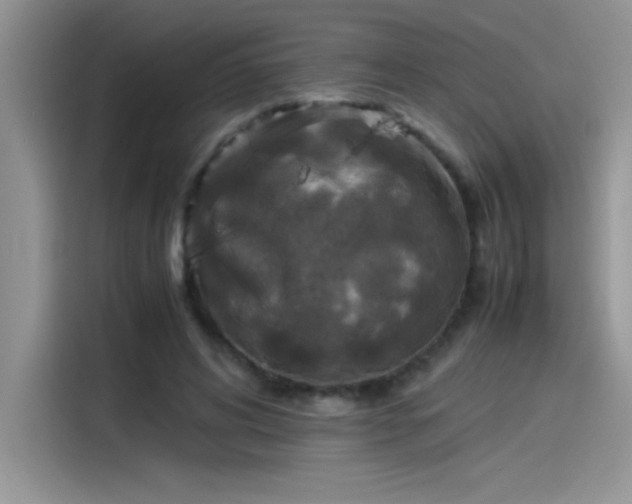 X0000115510592200911131342