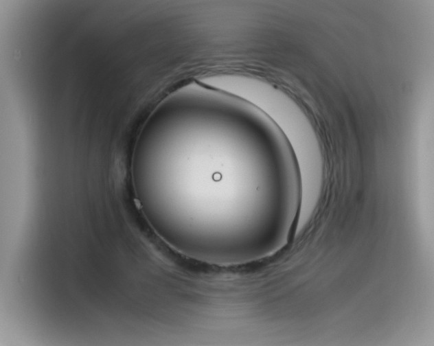 X0000115510593200911131342