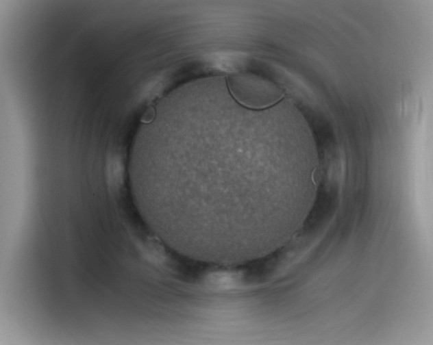 X0000115510595200911131342