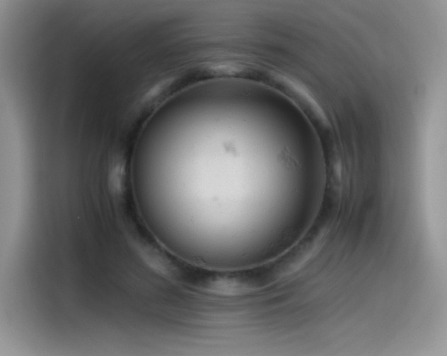 X0000115510596200911131342