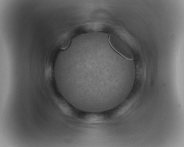 X0000115510597200911131342