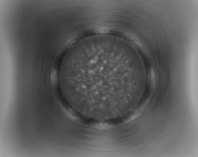 X0000115510598200911131342