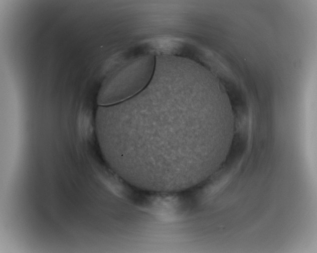 X0000115510599200911131342