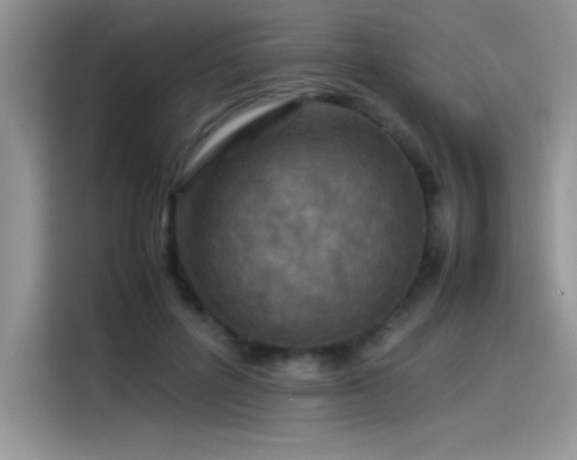 X0000115510600200911131342