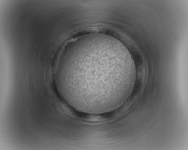 X0000115510605200911131342