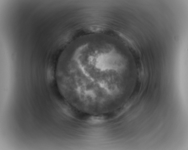 X0000115510606200911131342