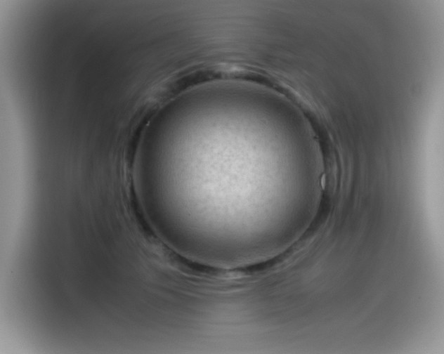 X0000115510609200911131342