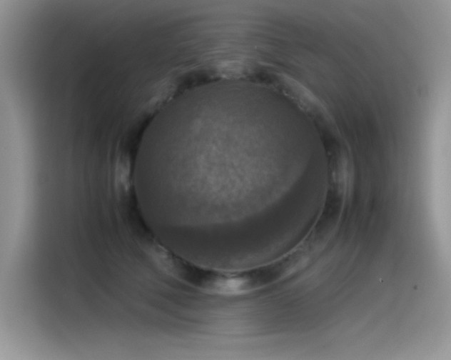 X0000115510610200911131342