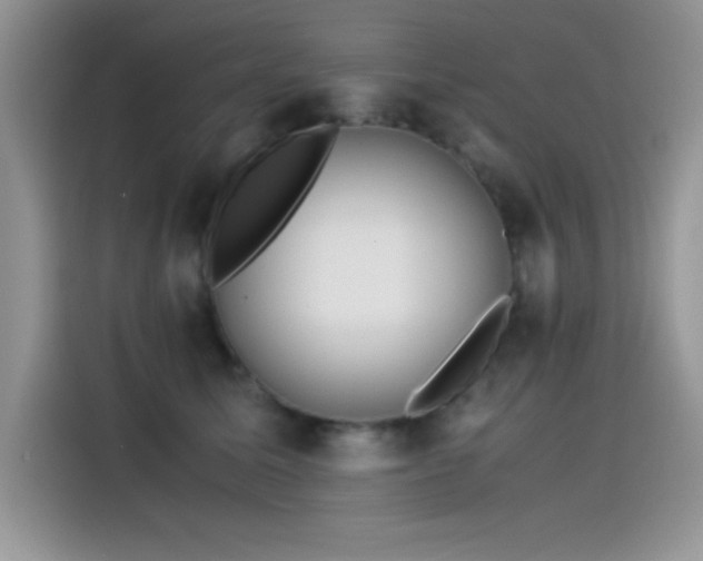 X0000115510611200911131342