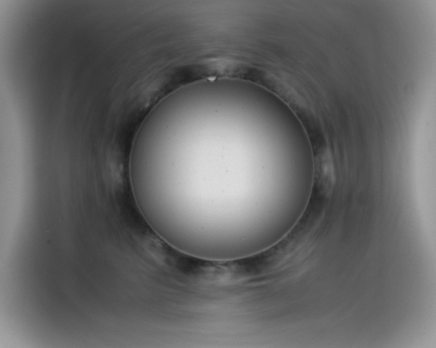 X0000115510615200911131342