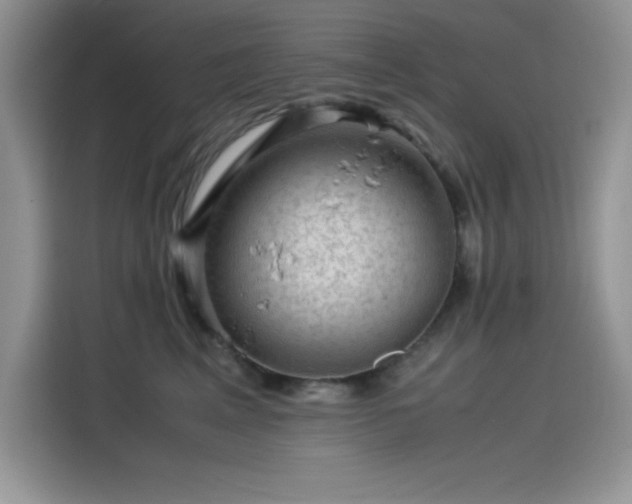 X0000115510617200911131342