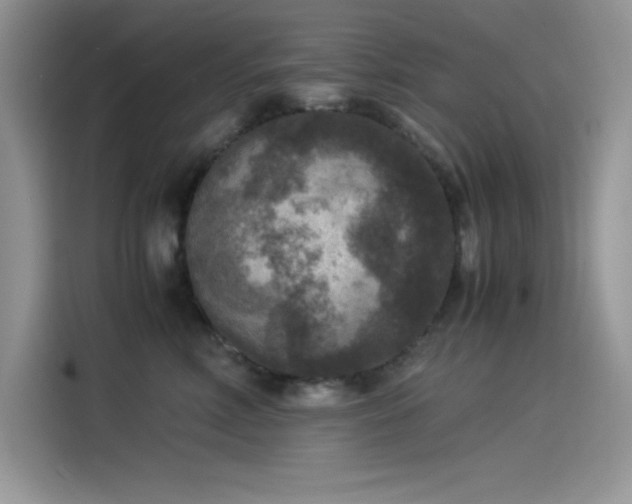 X0000115510618200911131342