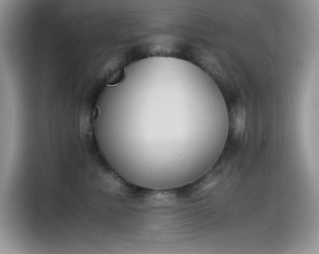 X0000115510619200911131342