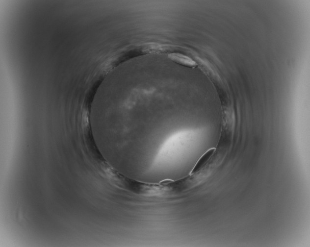 X0000115510621200911131342