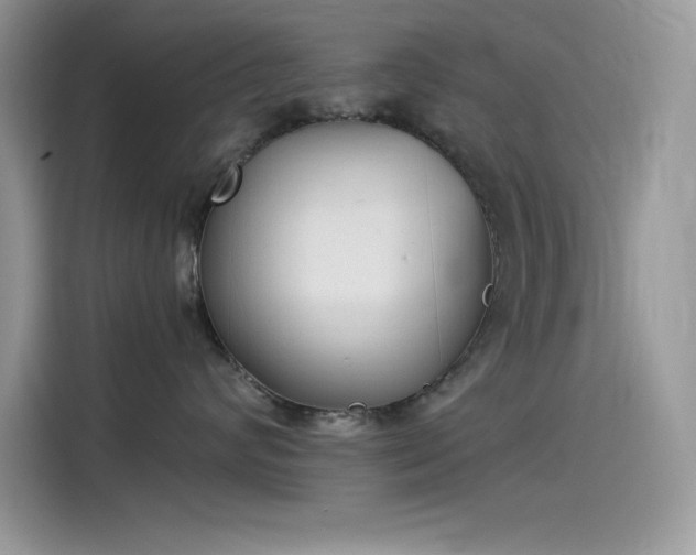 X0000115510624200911131342